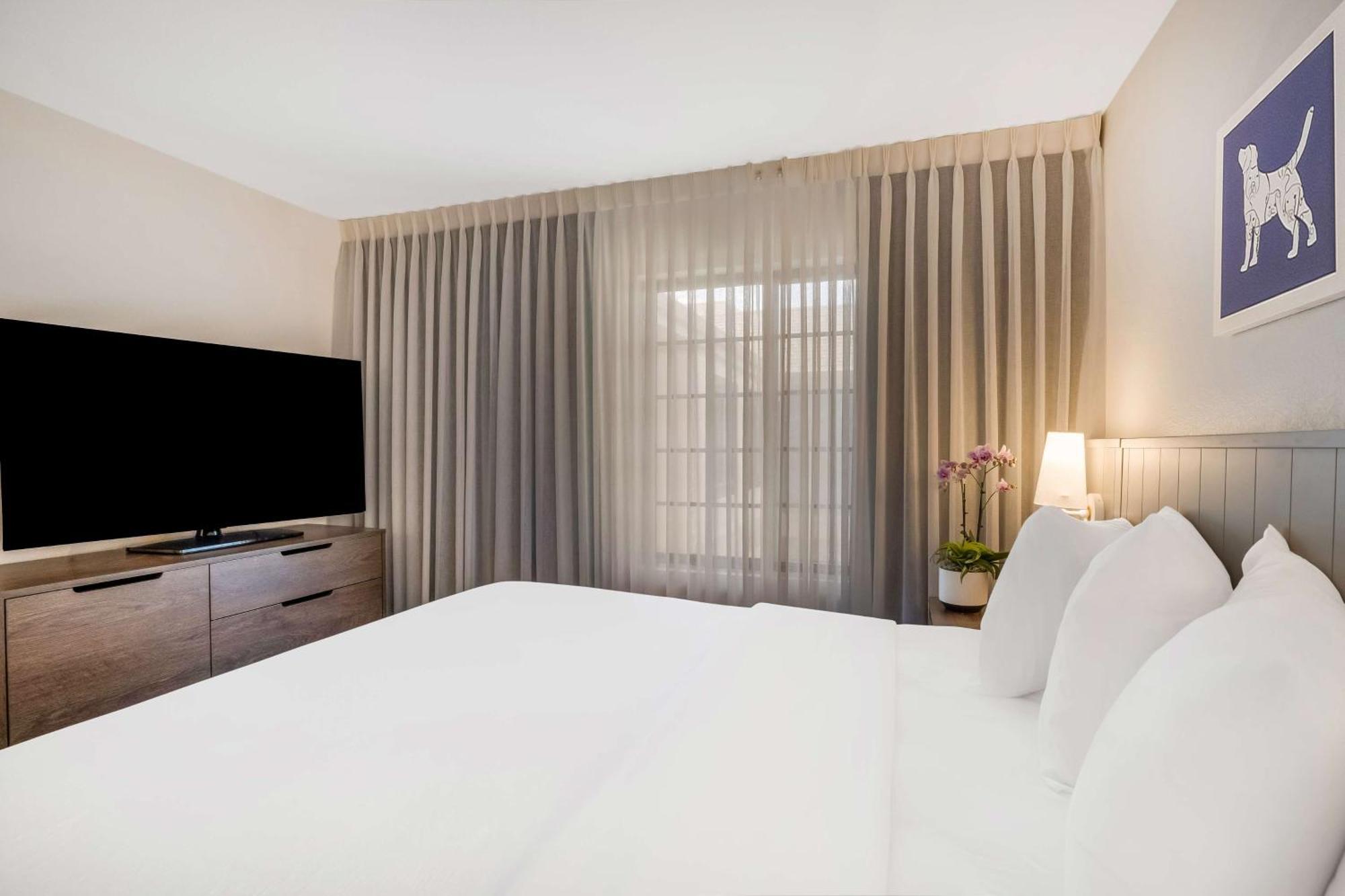 Sonesta Es Suites Denver South Park Meadows Lone Tree Bagian luar foto